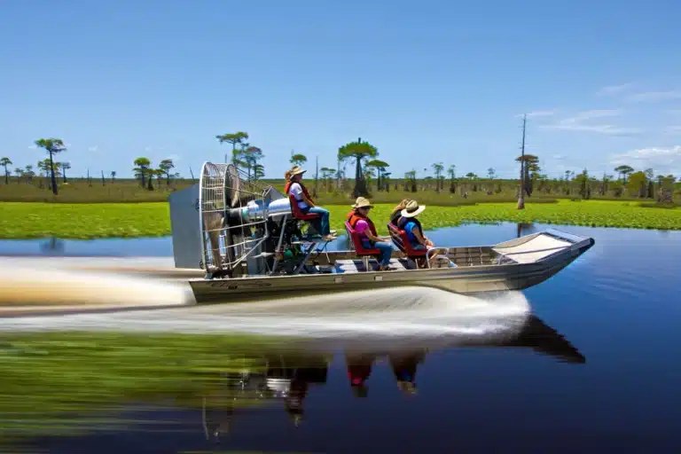 Aventure Matinale dans les Everglades