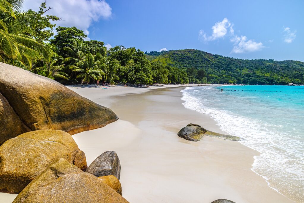 Beach Surrounded By The Sea And Greenery Under The Sunlight And A Blue Sky In Praslin In Seychelles