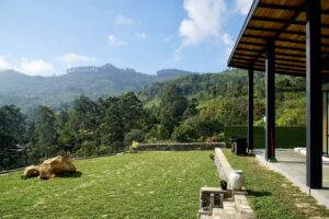 Bienvenue à Idal Villa, entre nature préservée et confort absolu.