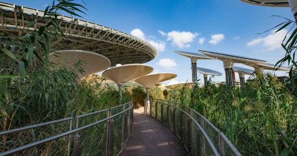 2025 World Sustainable Travel & Hospitality Awards opens for entry