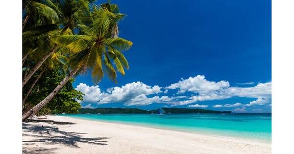 Alaska Airlines welcomes Philippine Airlines, our newest global partner