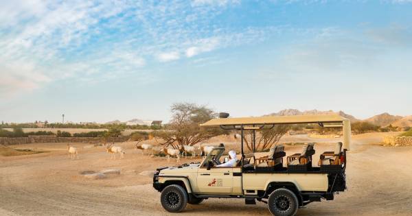Destination Spotlight: Al Ain Emerges as UAE’s Cultural and Eco-Tourism Gem for Global Travel