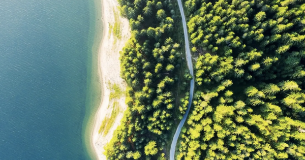 WTTC and Greenview Launch Global ESG Policy Tracker for Travel & Tourism