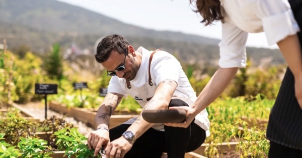 Hilton & Hilton Global Foundation Open Doors of Opportunity for People, Deliver Sustainable Stays