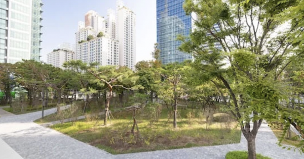 Korean Air launches second “Green SKYPASS” project