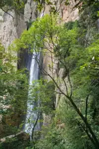 Bienvenue au Mouflon d’Or, là où la Corse s’incarne.
