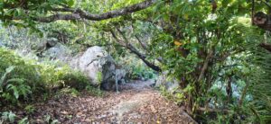 foret