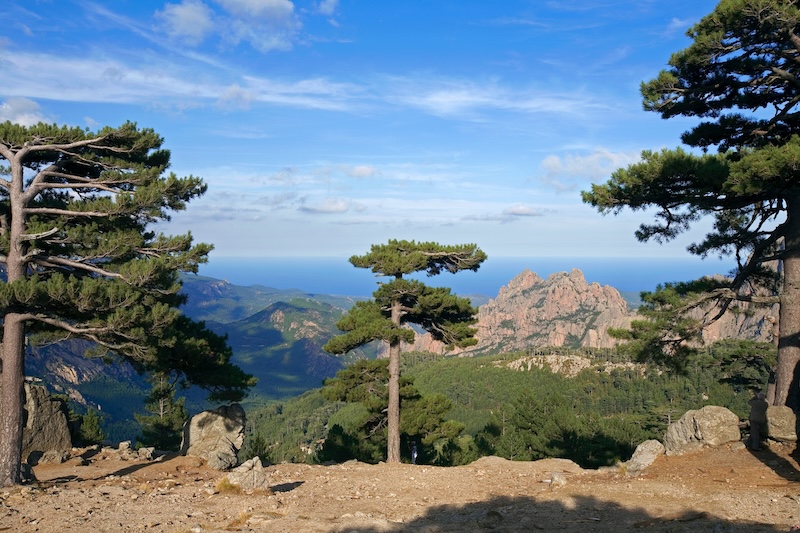 paysage