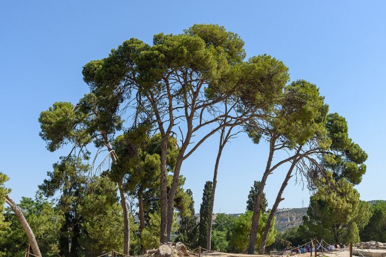 Grèce